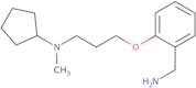 N-{3-[2-(Aminomethyl)phenoxy]propyl}-N-methylcyclopentanamine