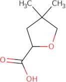 4,4-Dimethyloxolane-2-carboxylic acid