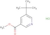 Methyl 5-tert-butylpyridine-3-carboxylate hydrochloride