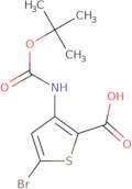 5-Bromo-3-[[(1,1-dimethylethoxy)carbonyl]amino]-2-thiophenecarboxylic Acid