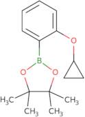 2-Cyclopropyloxybenzeneboronic acid, pinacol ester