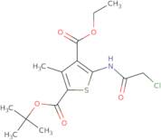 2-tert-Butyl 4-ethyl 5-(2-chloroacetamido)-3-methylthiophene-2,4-dicarboxylate