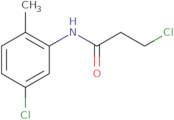 3-Chloro-N-(5-chloro-2-methylphenyl)propanamide