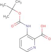 3-(Boc-amino)pyridine-2-carboxylic acid