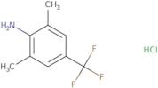 2,6-Dimethyl-4-(trifluoromethyl)aniline hydrochloride