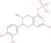 (-)-Epicatechin-5-sulfate