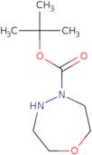 tert-Butyl 1,4,5-oxadiazepane-4-carboxylate