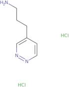 3-(Pyridazin-4-yl)propan-1-amine dihydrochloride