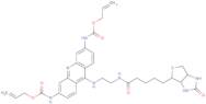 2,7-Bis(alloxycarbonylamino)-9-(biotinylaminoethylamino)acridine