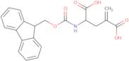 Fmoc-γ-methylene-DL-glutamic acid