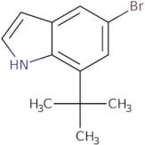 7-tert-Butyl-5-bromo-1H-indole