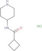 n-piperidin-4-ylcyclobutanecarboxamide;hydrochloride