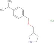 3-{[(4-Isopropylbenzyl)oxy]methyl}pyrrolidine hydrochloride