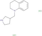 1-(3-Pyrrolidinylmethyl)-1,2,3,4-tetrahydroquinoline dihydrochloride