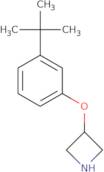 3-[3-(tert-Butyl)phenoxy]azetidine