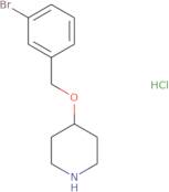 4-[(3-Bromobenzyl)oxy]piperidine hydrochloride