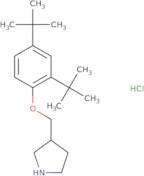 3-{[2,4-Di(tert-butyl)phenoxy]methyl}pyrrolidine hydrochloride