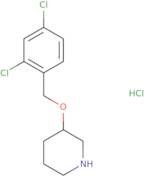 3-(2,4-Dichloro-benzyloxy)-piperidine hydrochloride