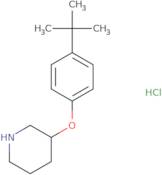 3-[4-(tert-Butyl)phenoxy]piperidine hydrochloride