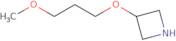 3-(3-Methoxypropoxy)azetidine