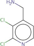 (2,3-Dichloropyridin-4-yl)methanamine