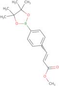 Methyl (E)-3-(4-(4,4,5,5-tetramethyl-1,3,2-dioxaborolan-2-yl)phenyl)acrylate