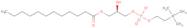 1-Lauroyl-2-Hydroxy-sn-Glycero-3-Phosphatidylcholine