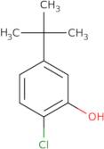 5-tert-Butyl-2-chloro-phenol