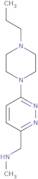 N-Methyl-1-(6-(4-propylpiperazin-1-yl)pyridazin-3-yl)methanamine
