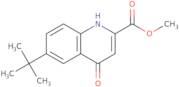 6-tert-Butyl-4-oxo-1,4-dihydro-quinoline-2-carboxylic acid methyl ester