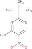 2-(tert-Butyl)-5-nitropyrimidin-4-amine