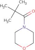 2,2-dimethyl-1-(morpholin-4-yl)propan-1-one