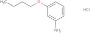 3-Butoxyaniline hydrochloride