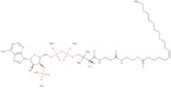 18:1 (N12) Coenzyme A