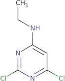 2,6-Dichloro-N-ethylpyrimidin-4-amine