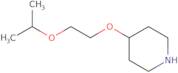 4-[2-(Propan-2-yloxy)ethoxy]piperidine