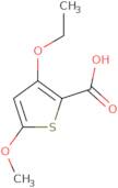 3-Ethoxy-5-methoxythiophene-2-carboxylic acid