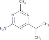 6-Isopropyl-2-methylpyrimidin-4-amine