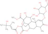 Yadanzioside C