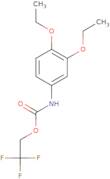 2,2,2-Trifluoroethyl N-(3,4-diethoxyphenyl)carbamate