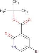 5-Bromo-2-hydroxy-nicotinic acid t-butyl ester