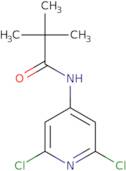 N-(2,6-Dichloropyridin-4-yl)pivalamide