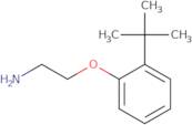 1-(2-Aminoethoxy)-2-tert-butylbenzene