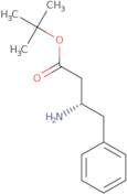 tert-Butyl (S)-3-Amino-4-phenylbutanoate