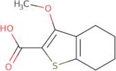 3-Methoxy-4,5,6,7-tetrahydrobenzo[b]thiophene-2-carboxylic acid