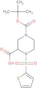 4-(Thiophene-2-sulfonyl)-piperazine-1,3-dicarboxylic acid 1-tert-butyl ester