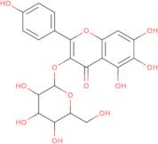 6-Hydroxykaempferol 3-o-β-D-glucoside