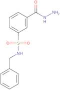 N-Benzyl-3-(hydrazinocarbonyl)benzenesulfonamide