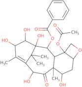 14β-Hydroxydeacetylbaccatin III