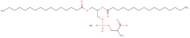 1,2-Dipalmitoyl-sn-glycero-3-phosphatidylserine, Na
